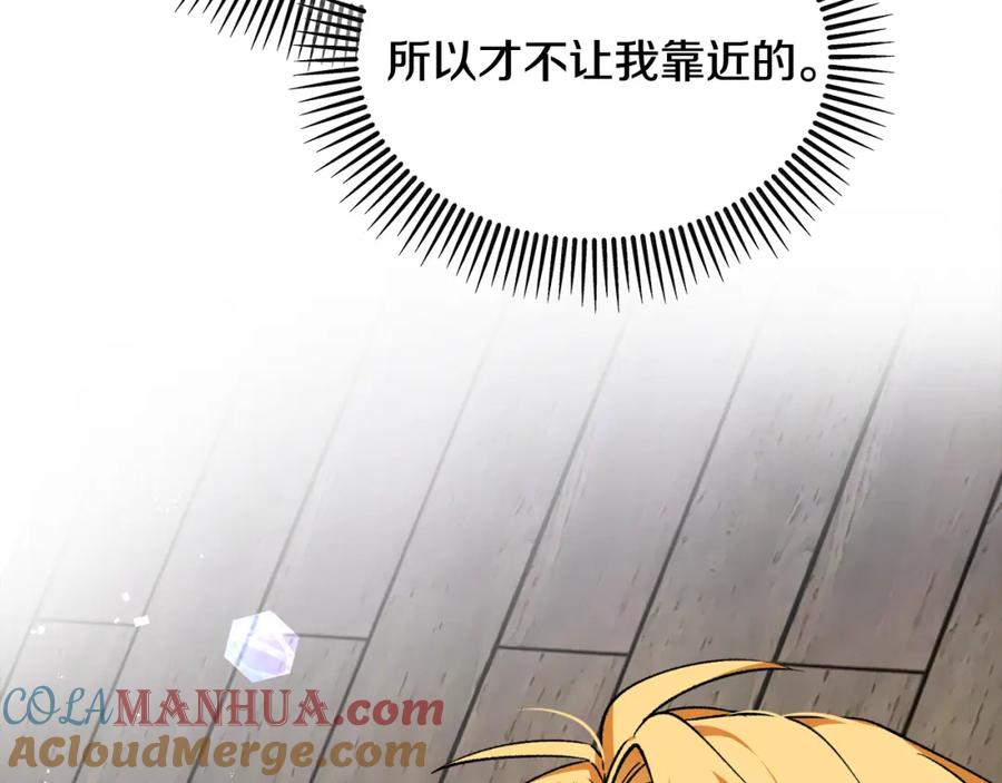 第221页