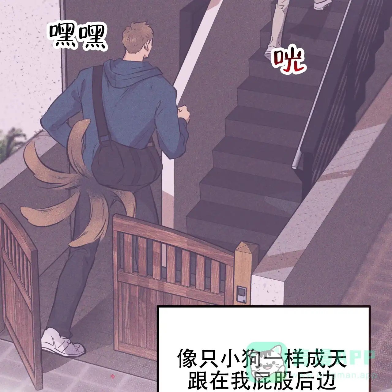 第51页
