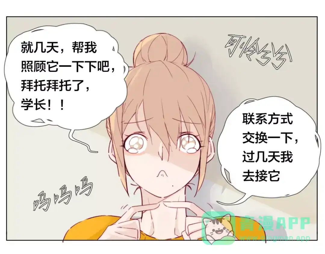 第41页