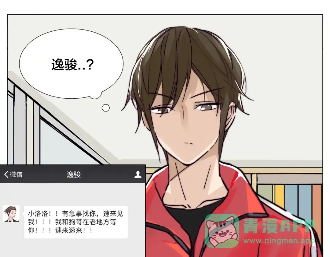 第51页