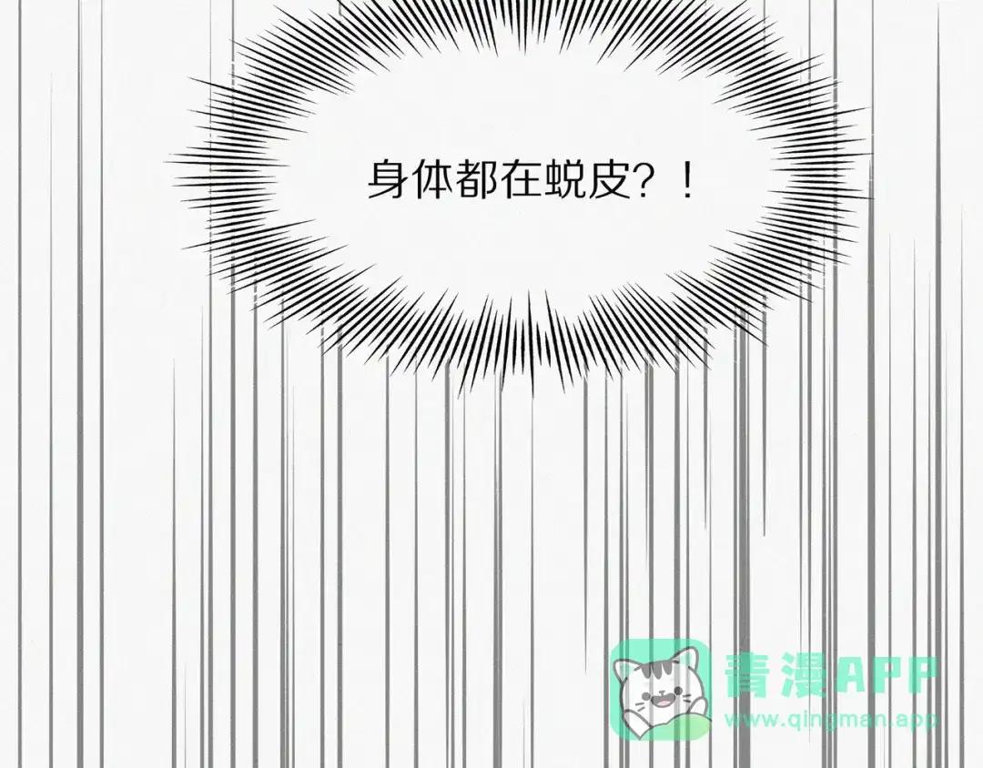第231页