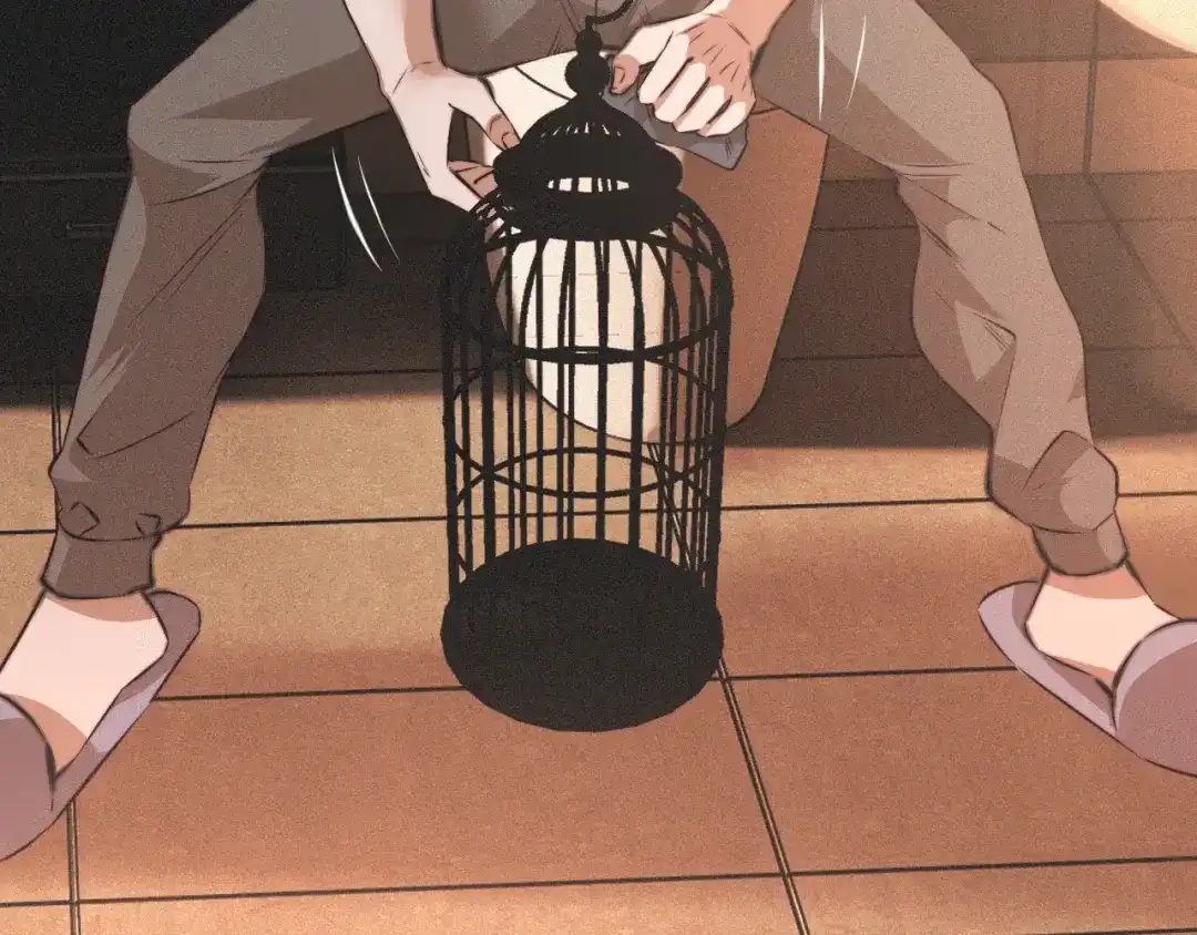 第85页