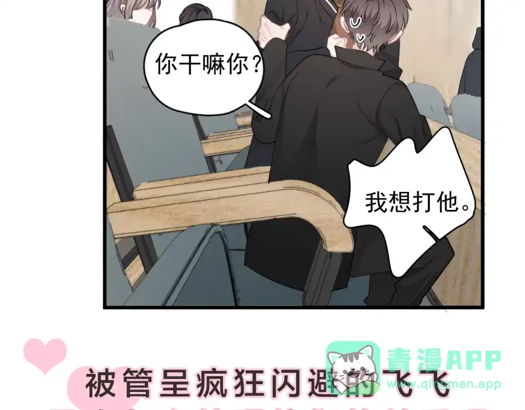 第146页