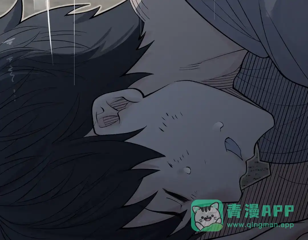 第186页