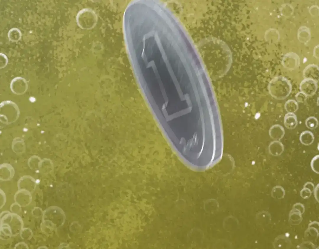 第203页