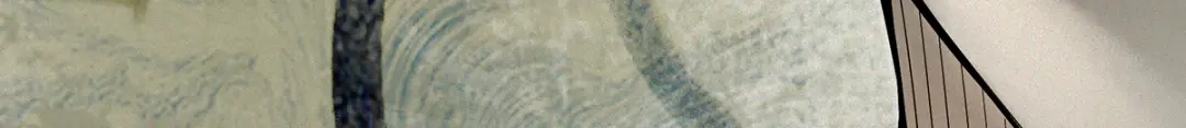 第229页