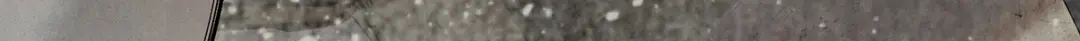 第232页