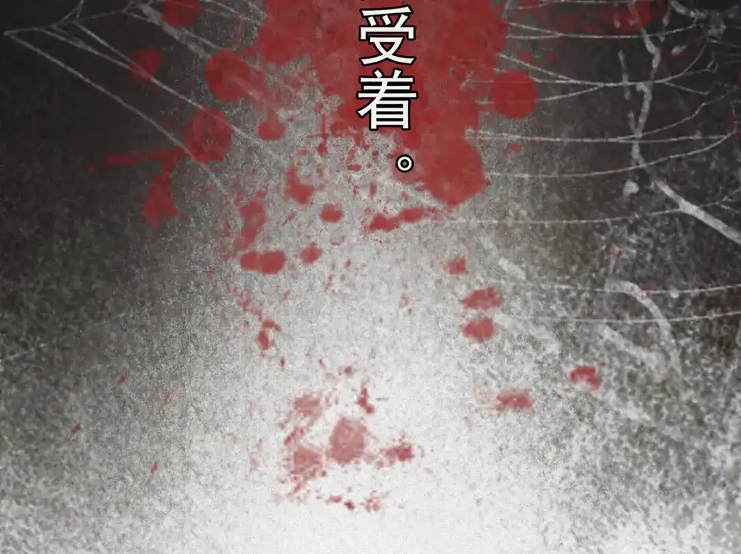 第237页