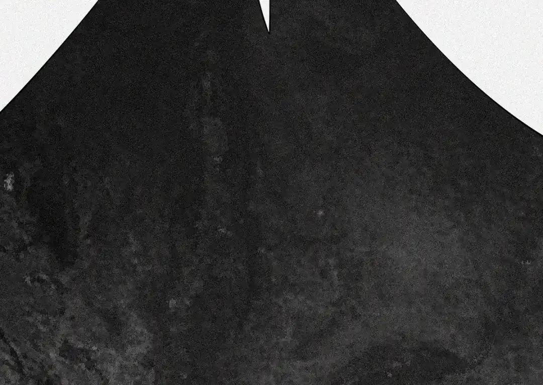 第239页