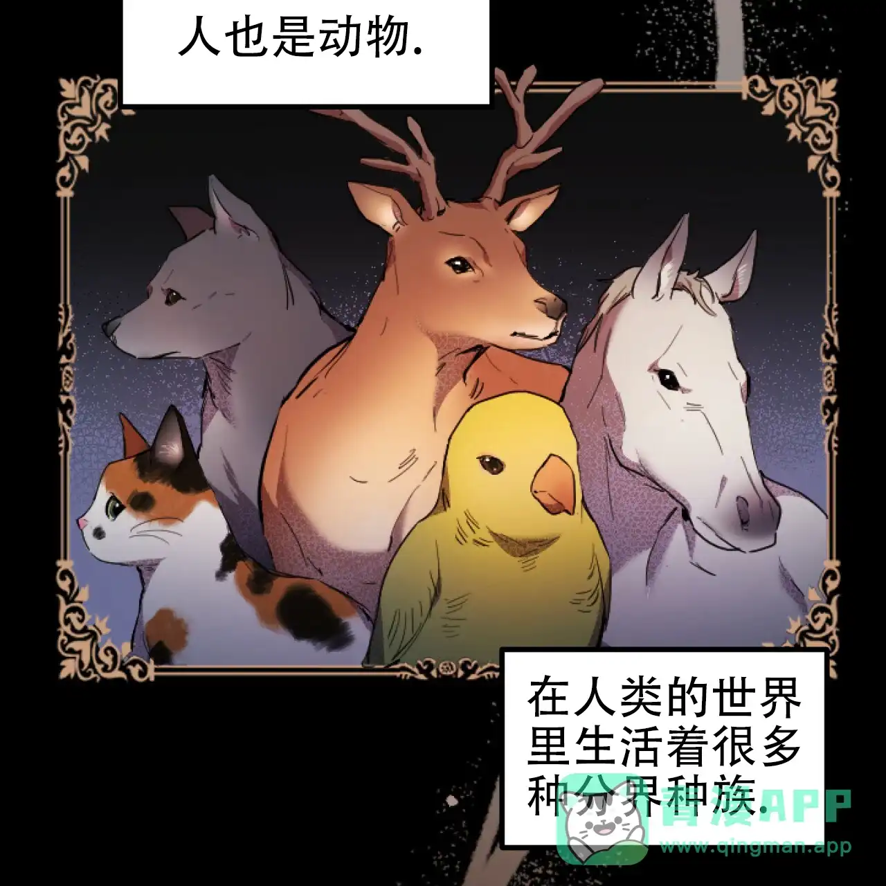 第71页