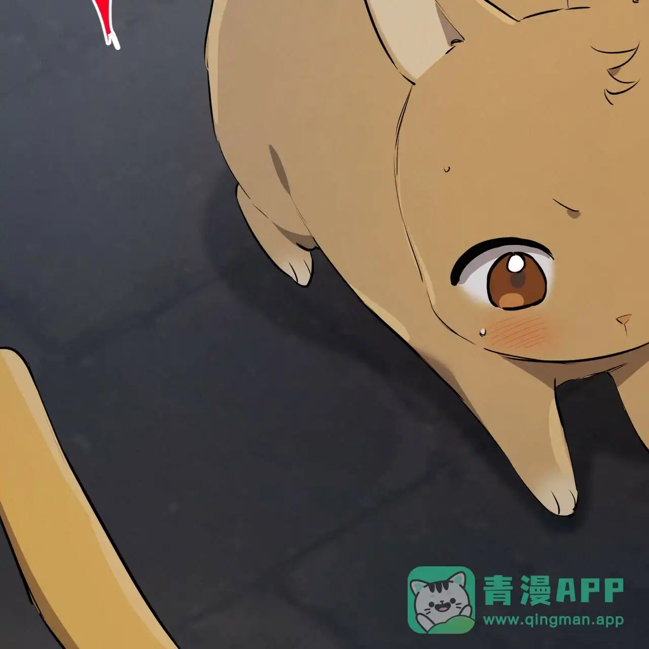 第76页
