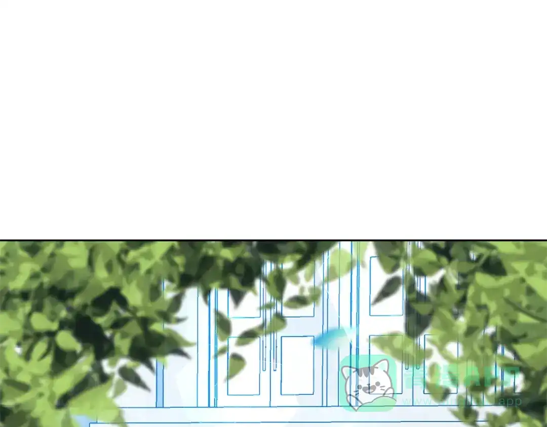 第221页