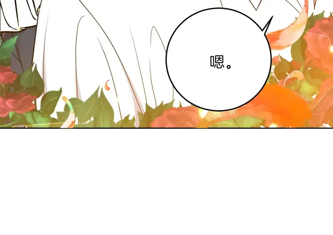 第247页
