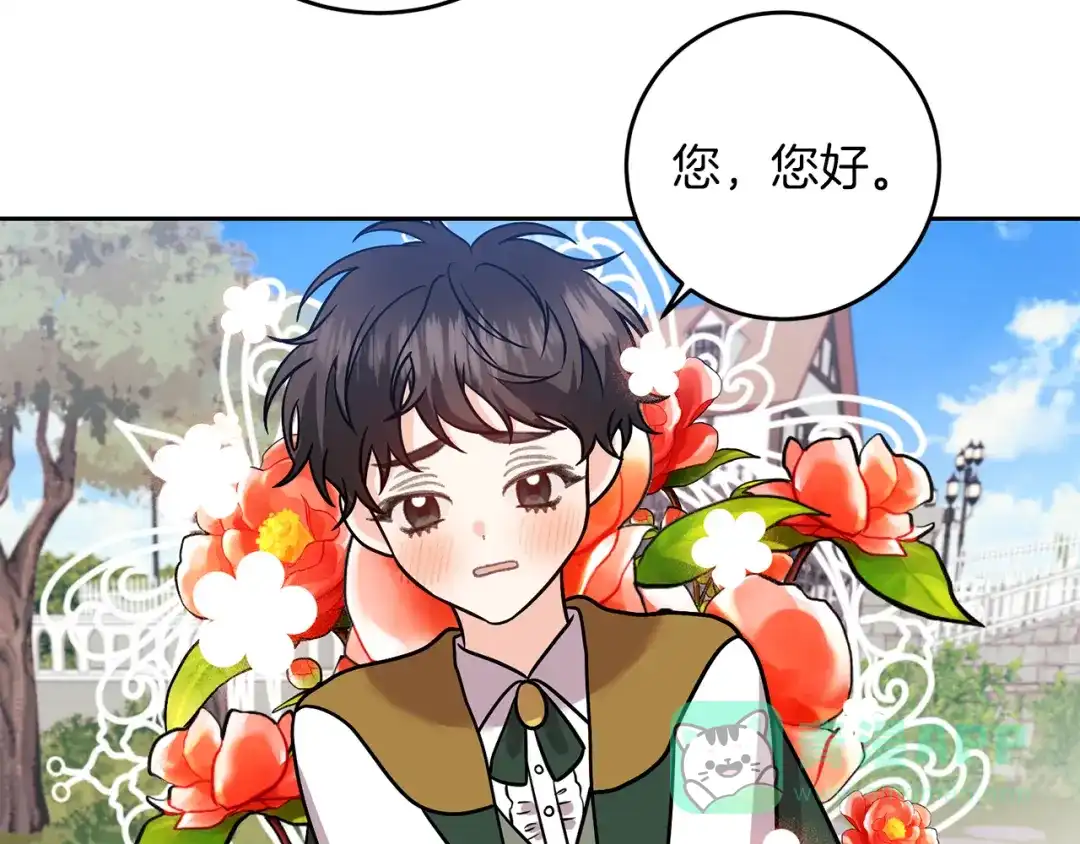 第146页