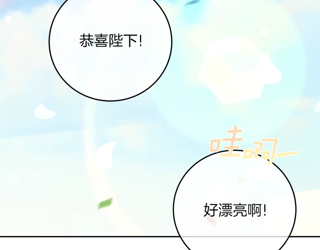 第205页