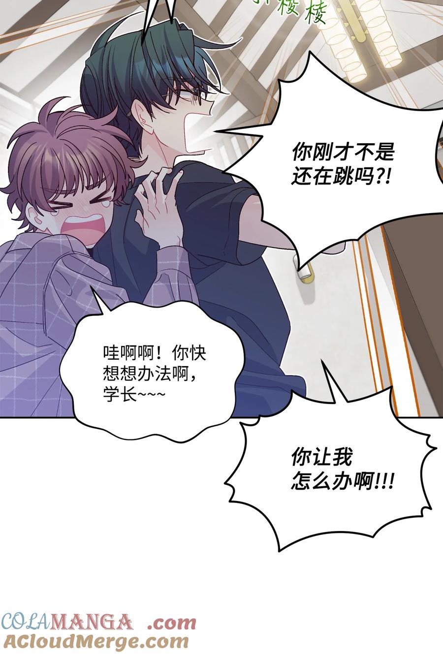 第64页