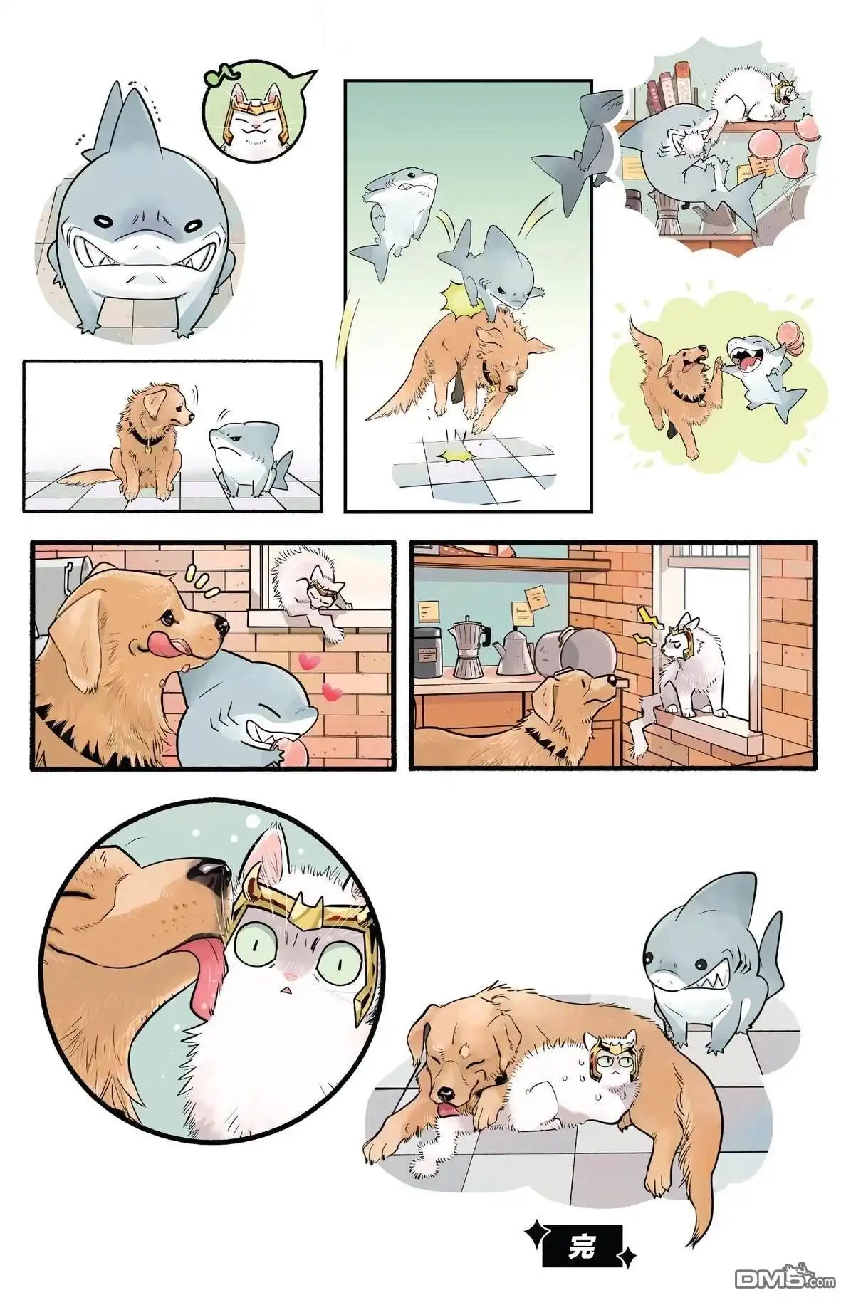 第5页