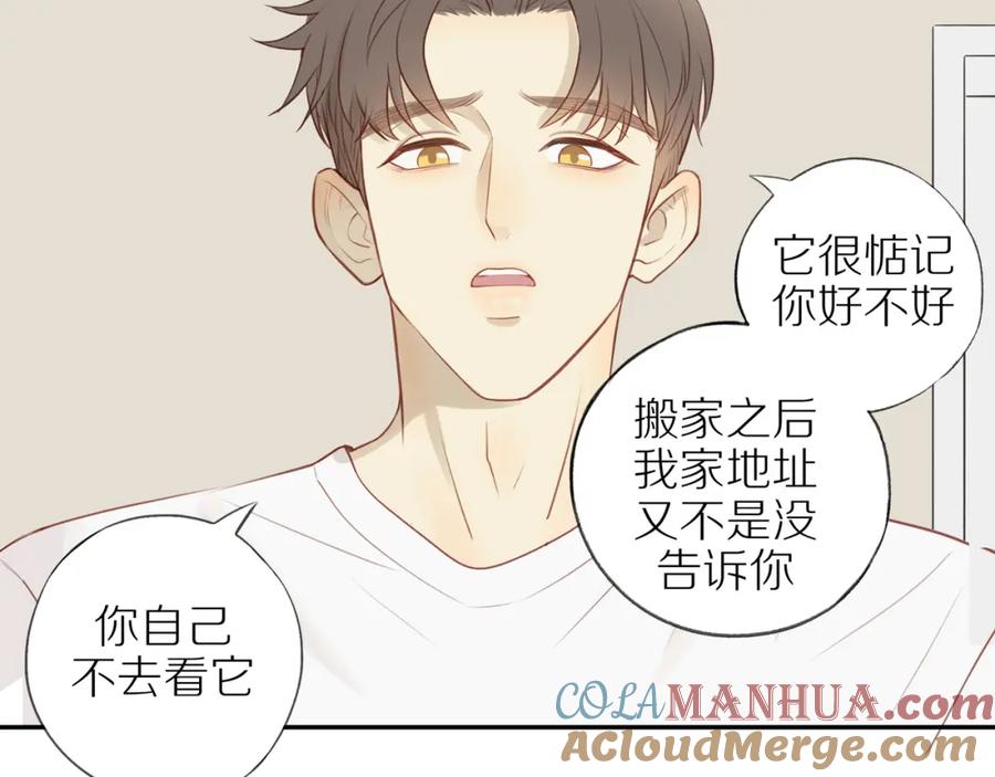 第55页