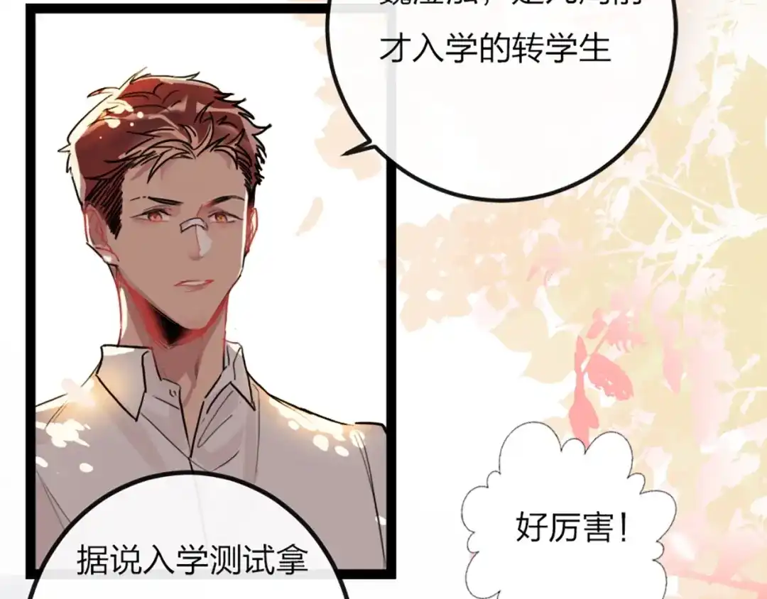 第178页