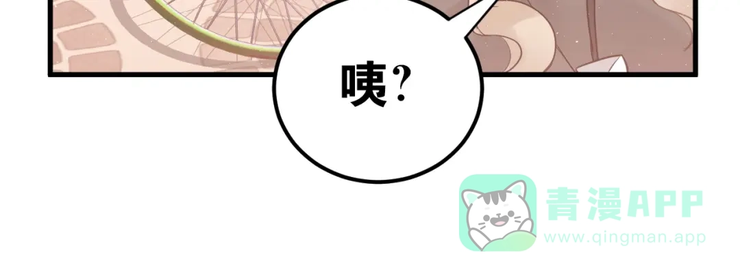 第221页