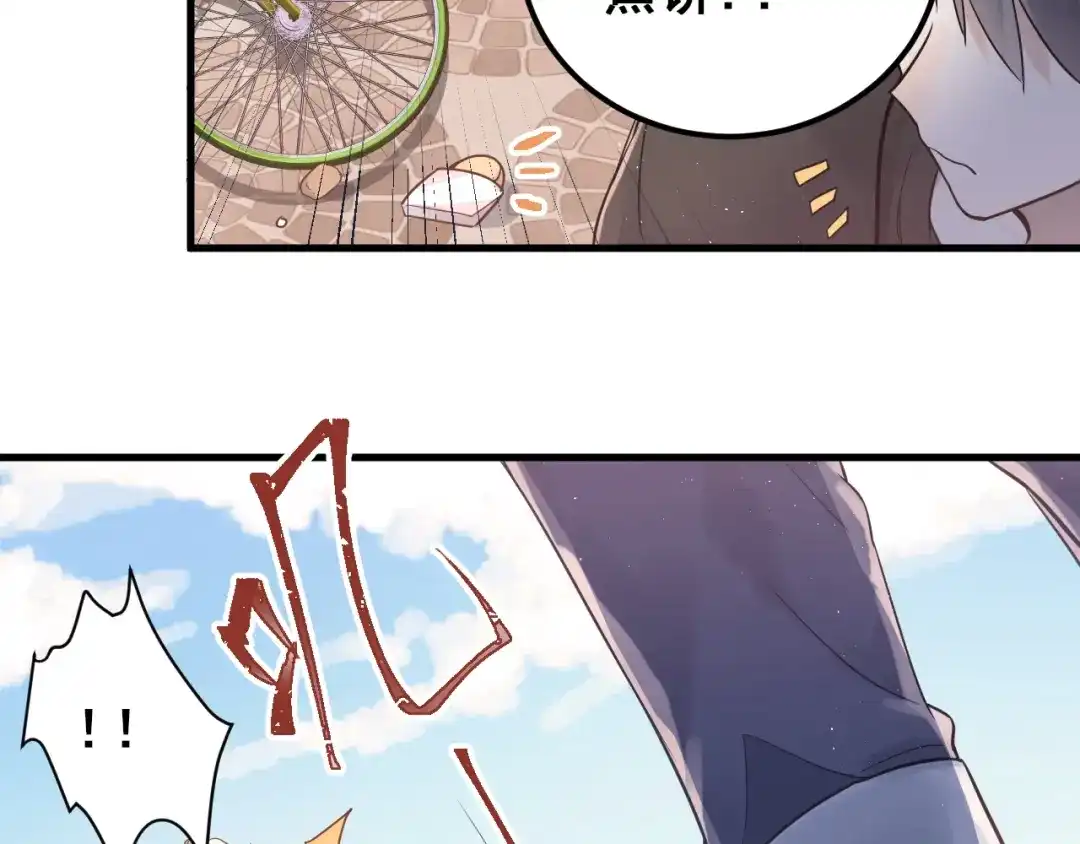 第223页