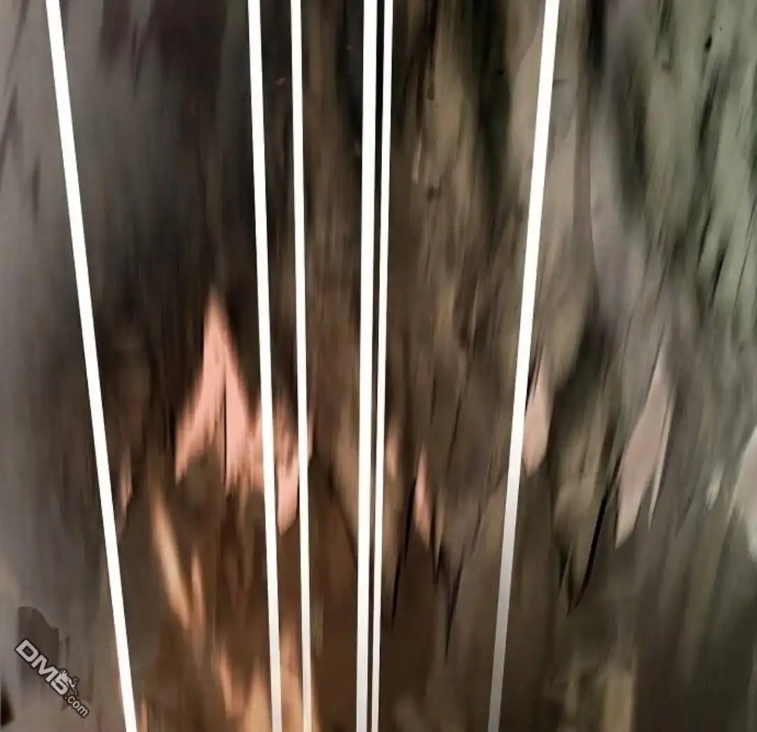 第85页