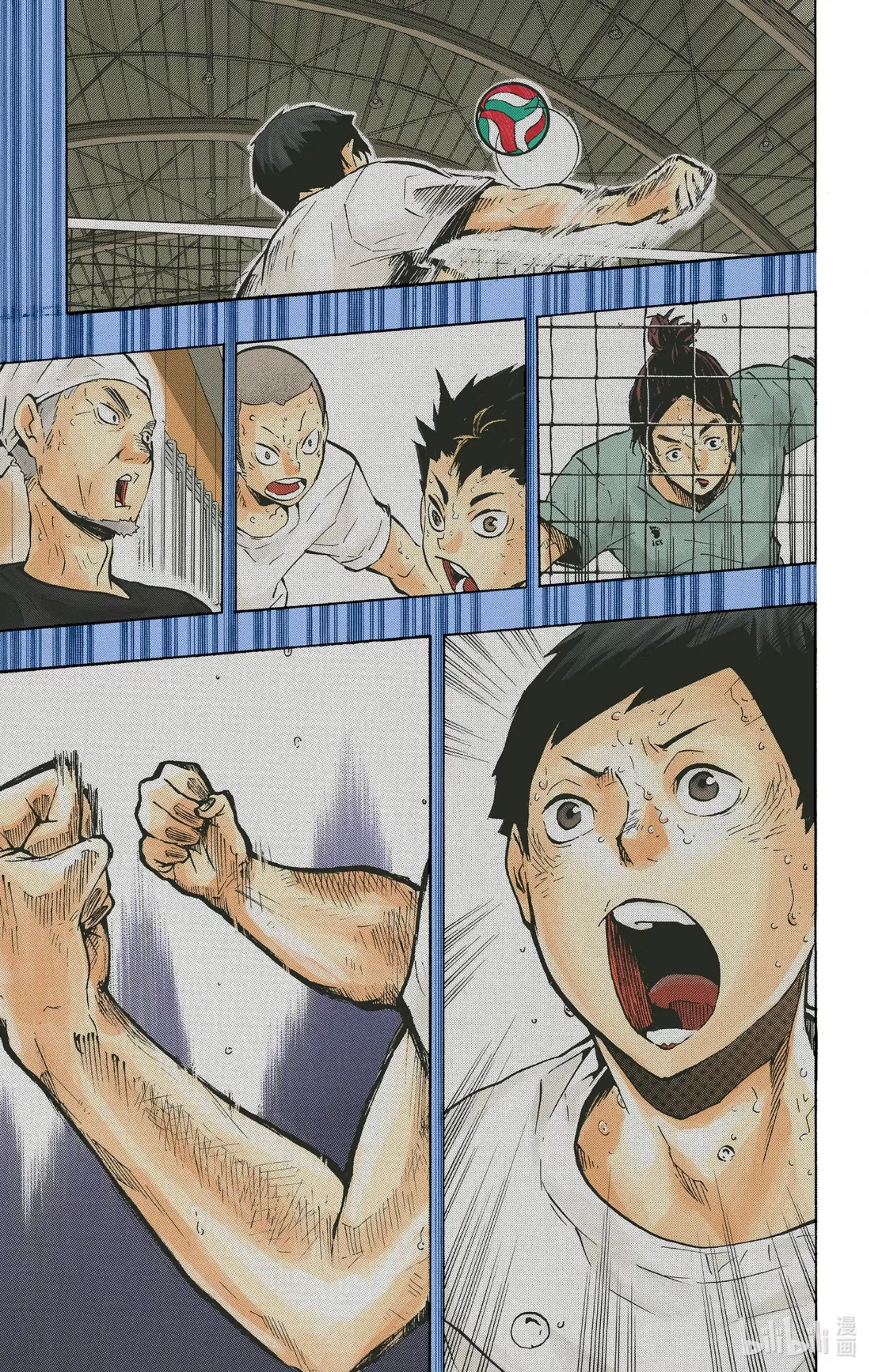 第5页