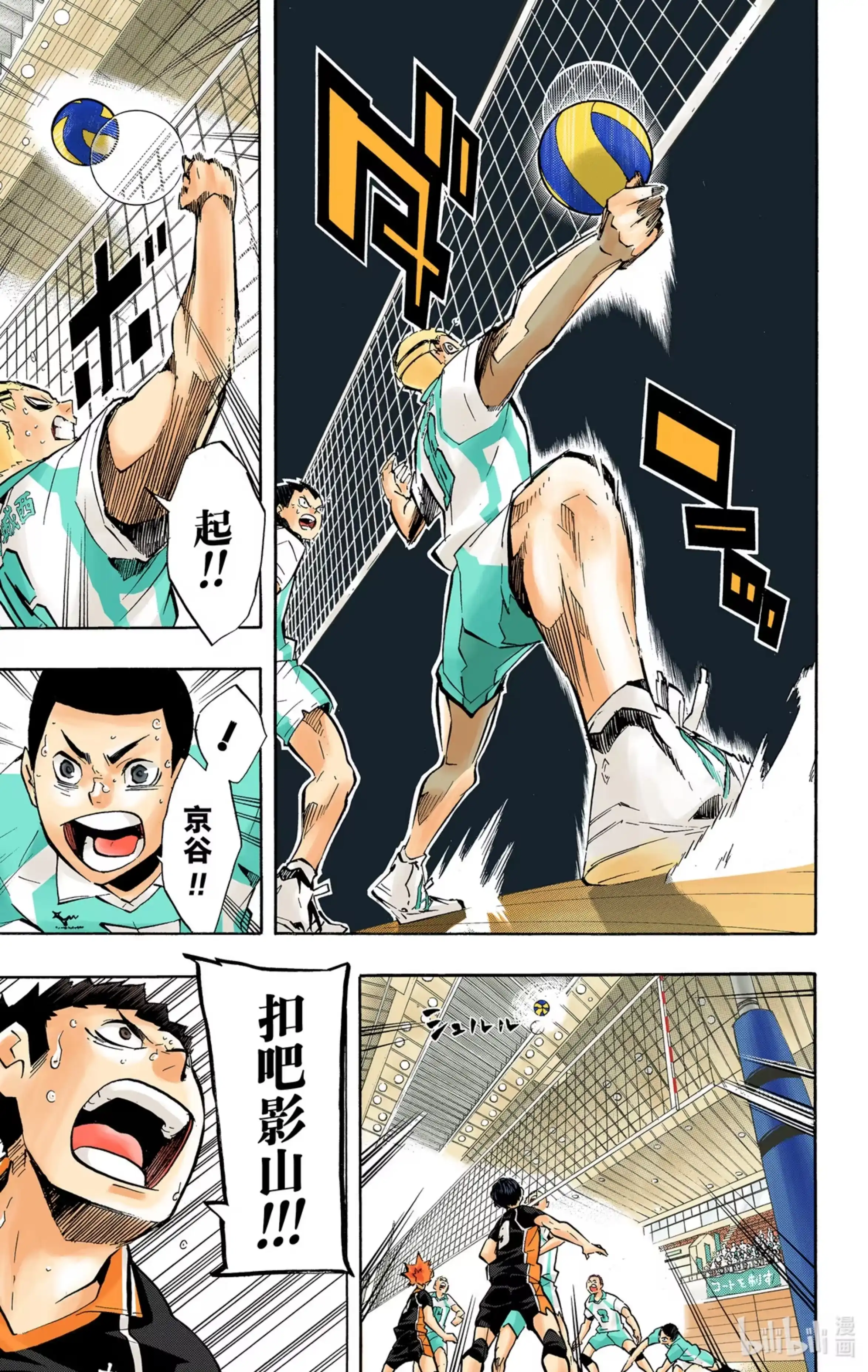 第5页