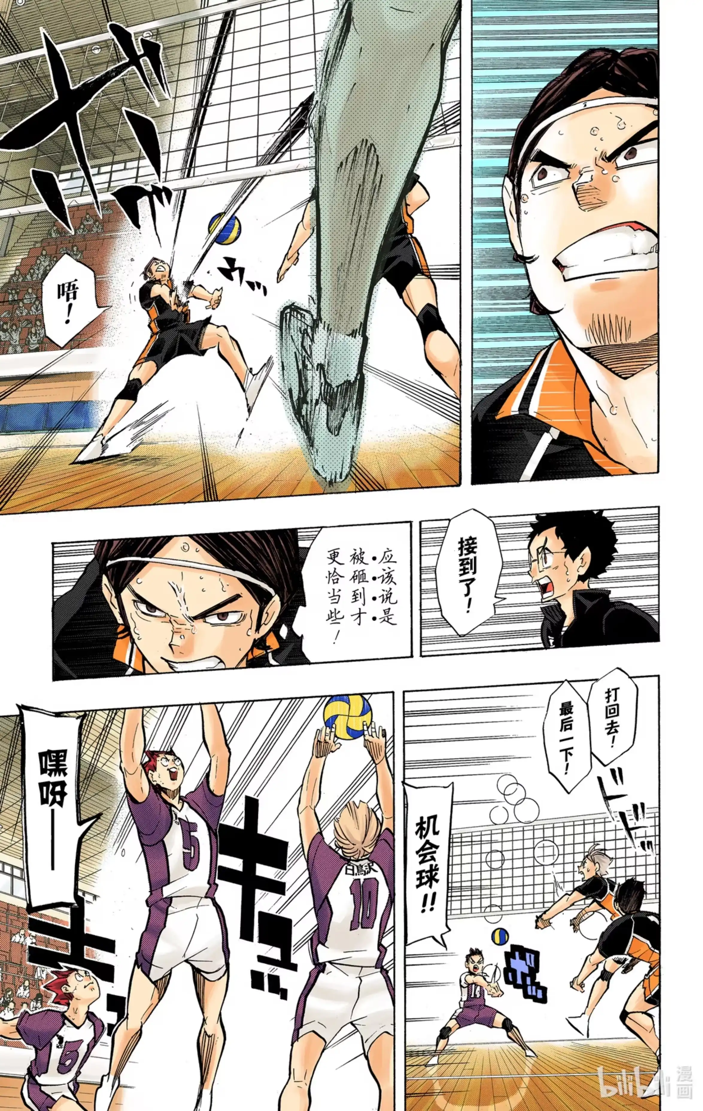 第5页
