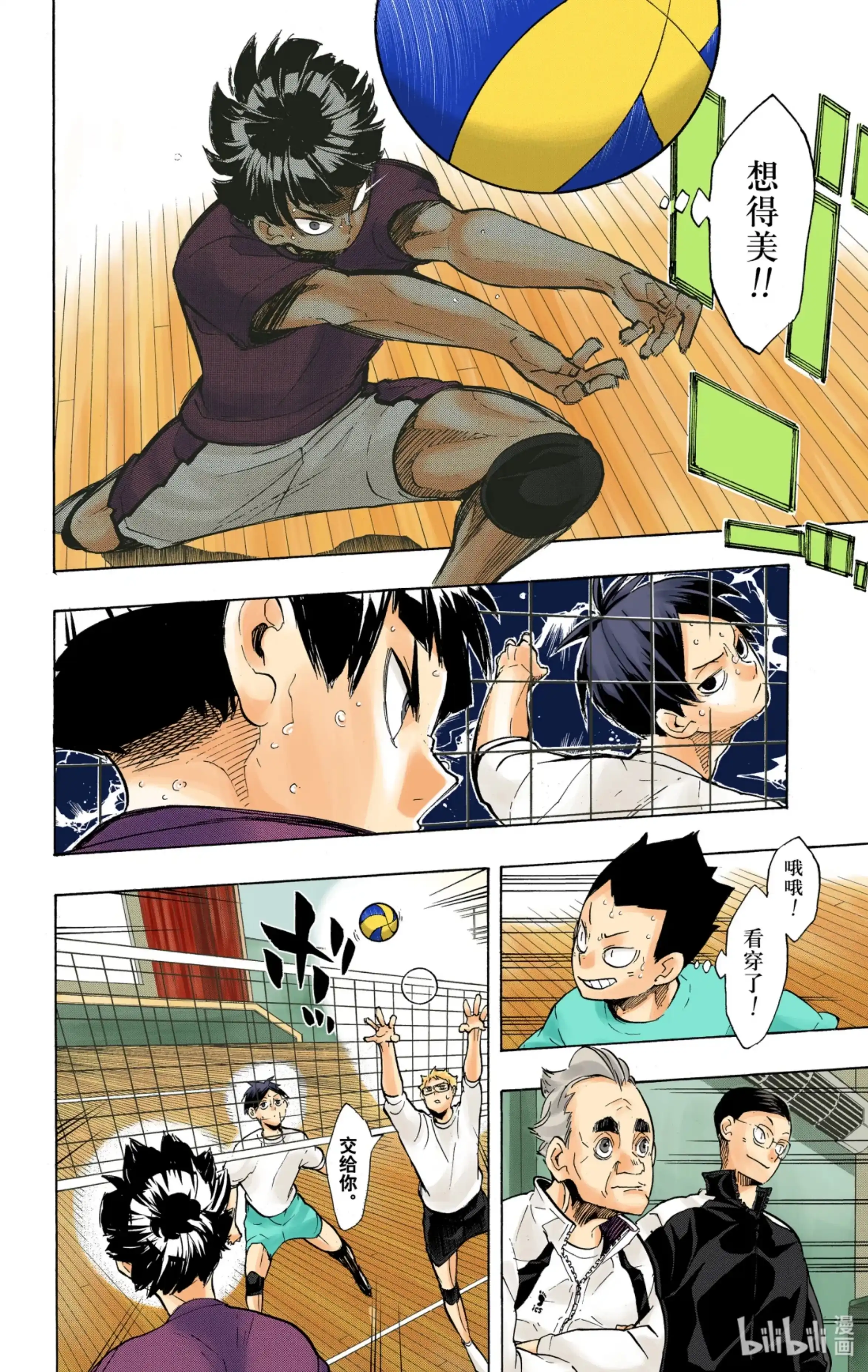 第4页