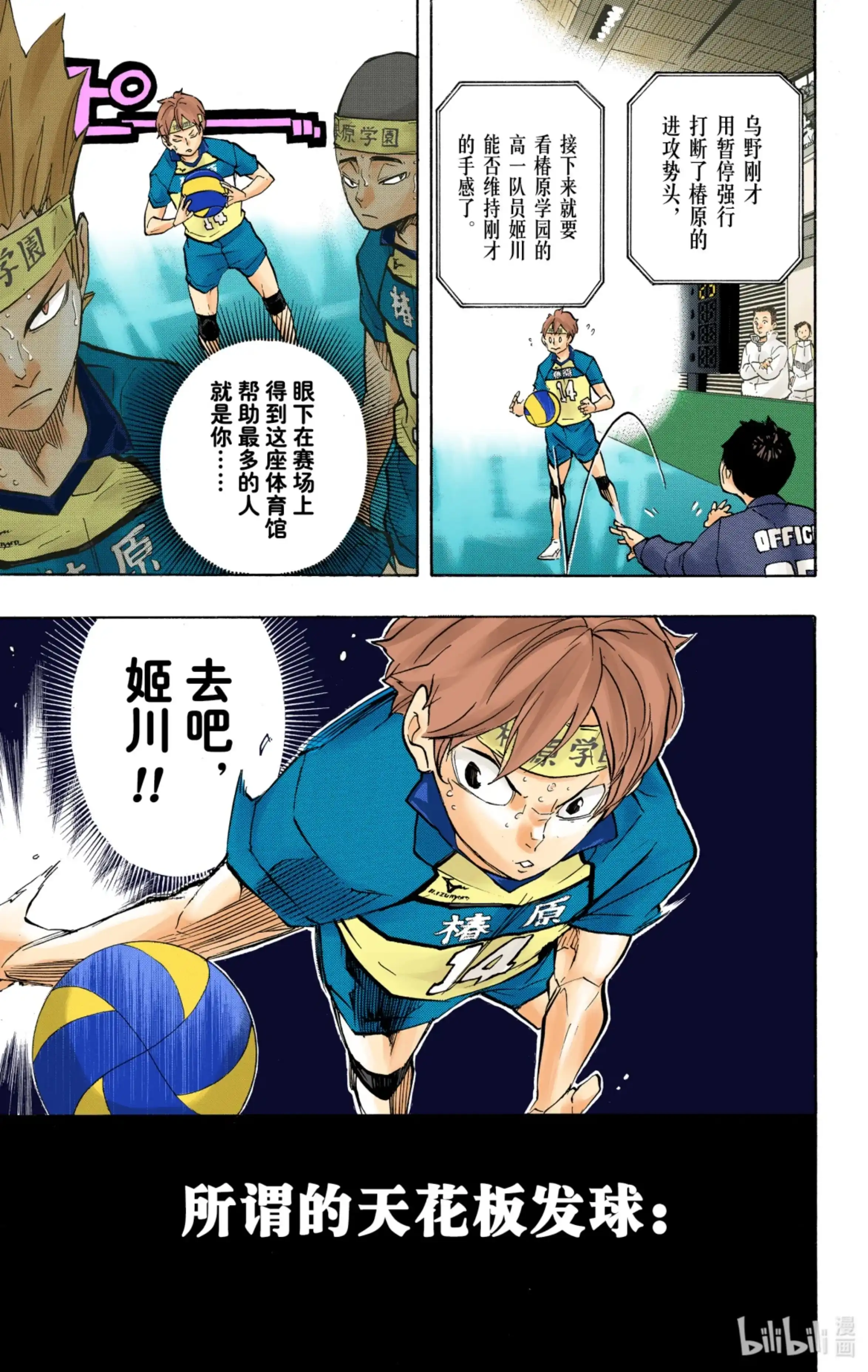 第3页