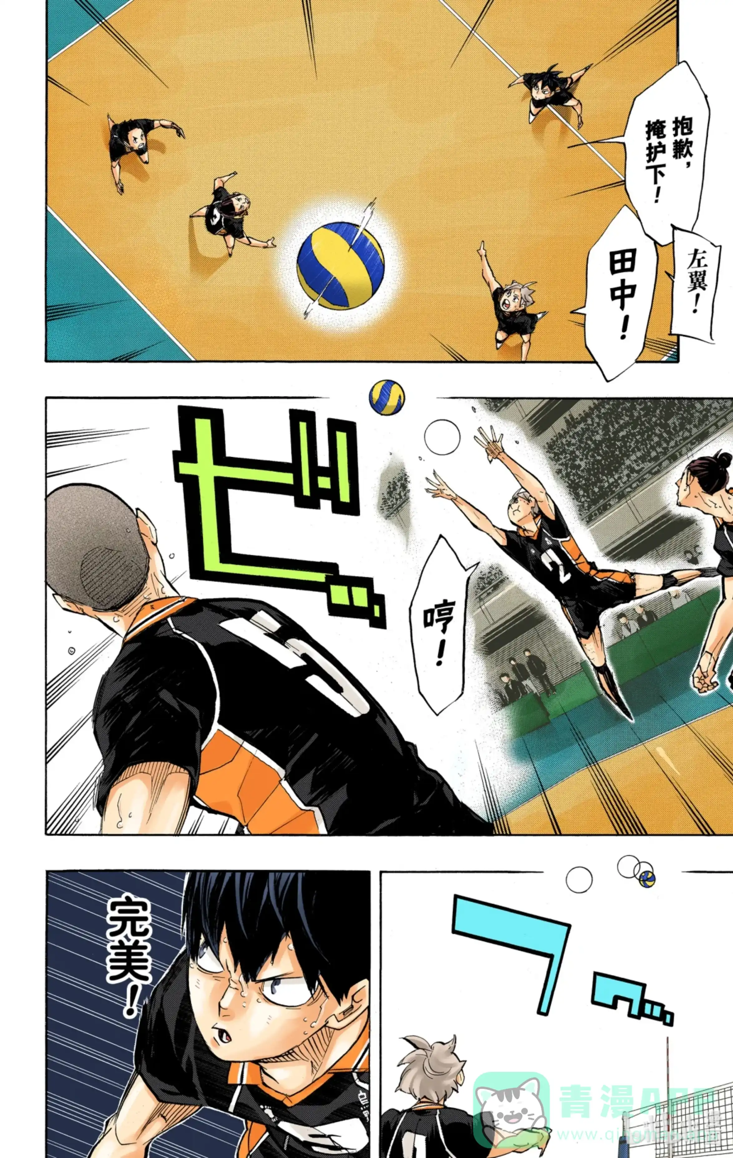第6页