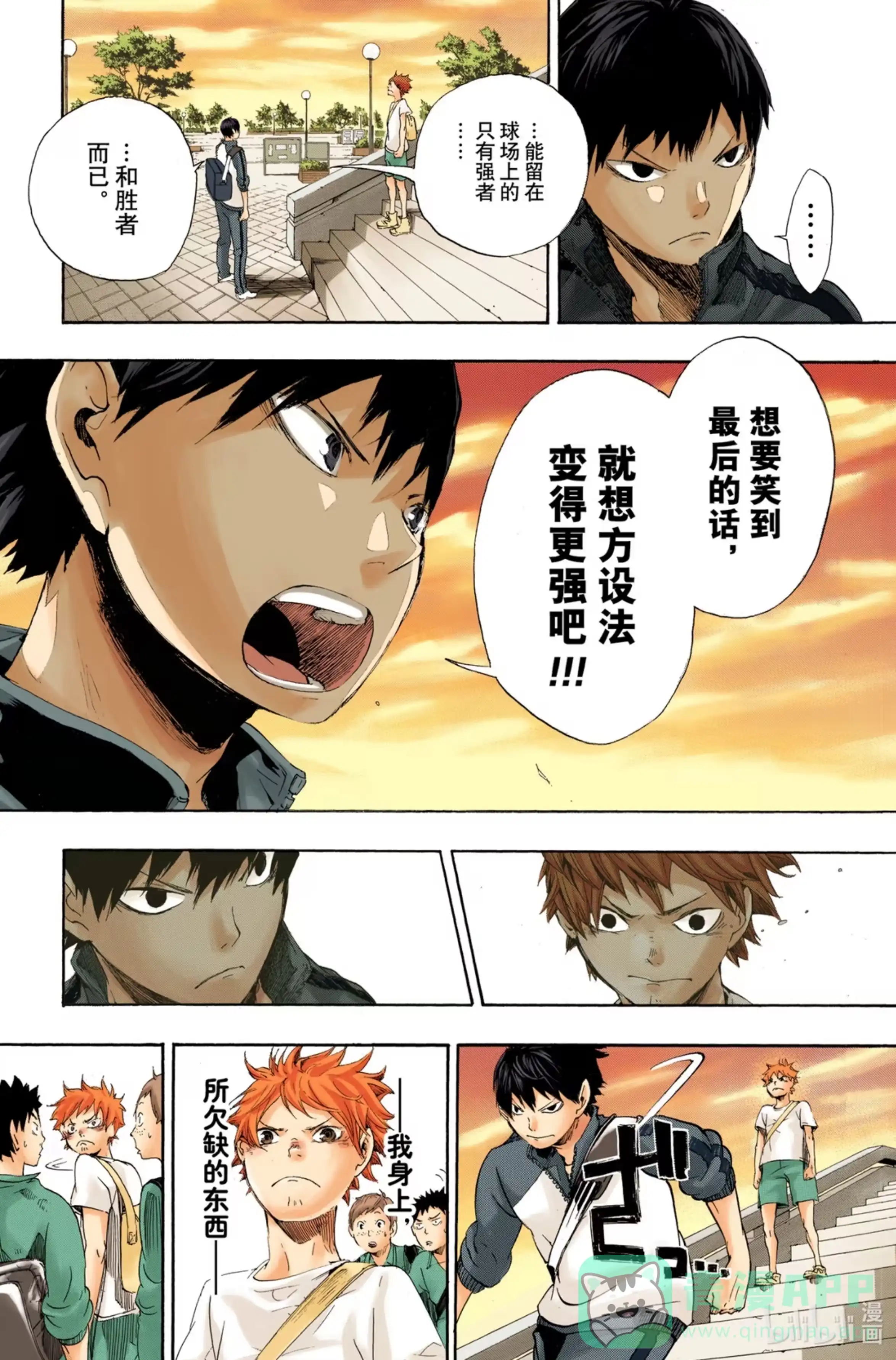 第31页