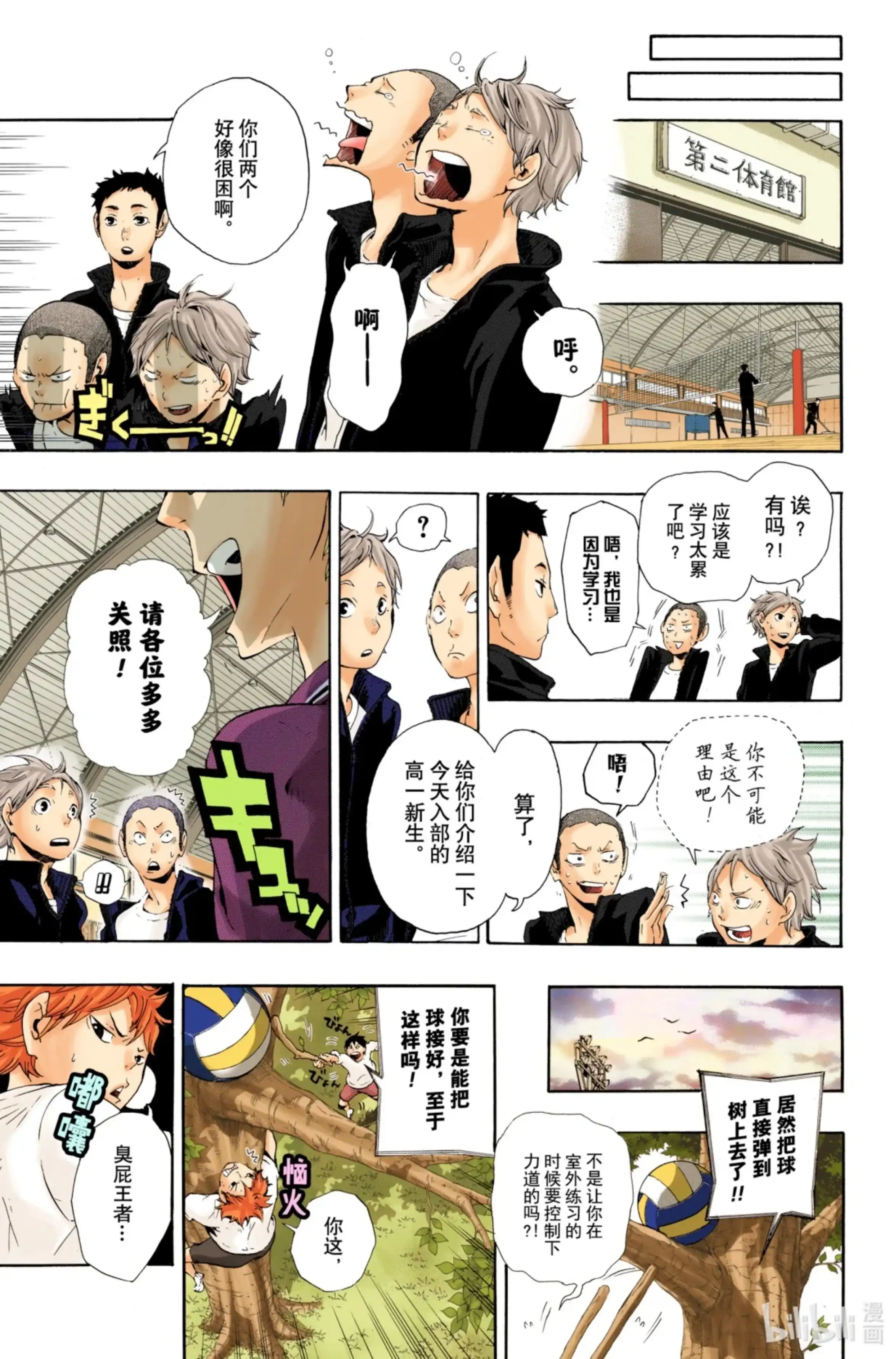 第5页
