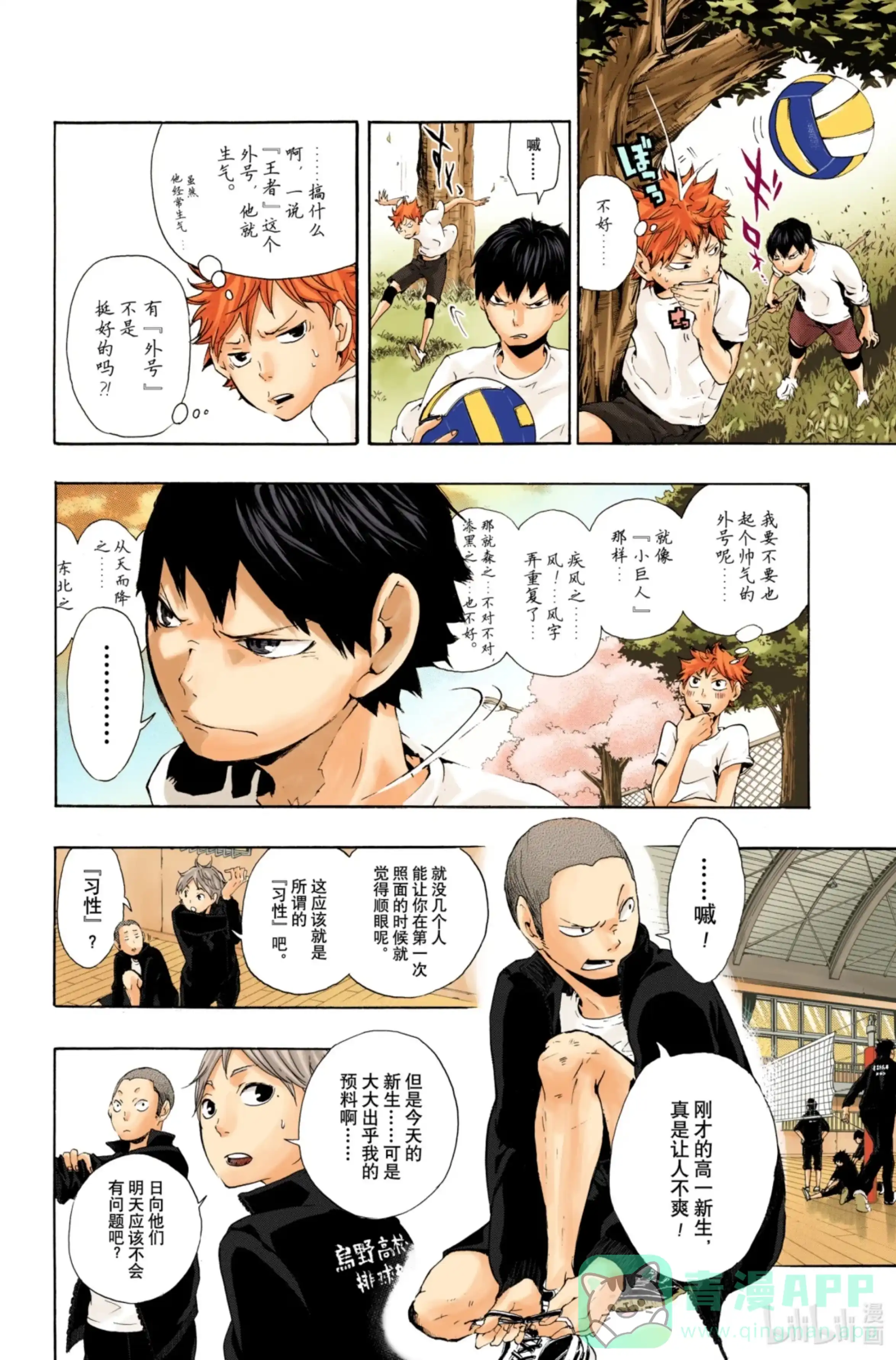 第6页