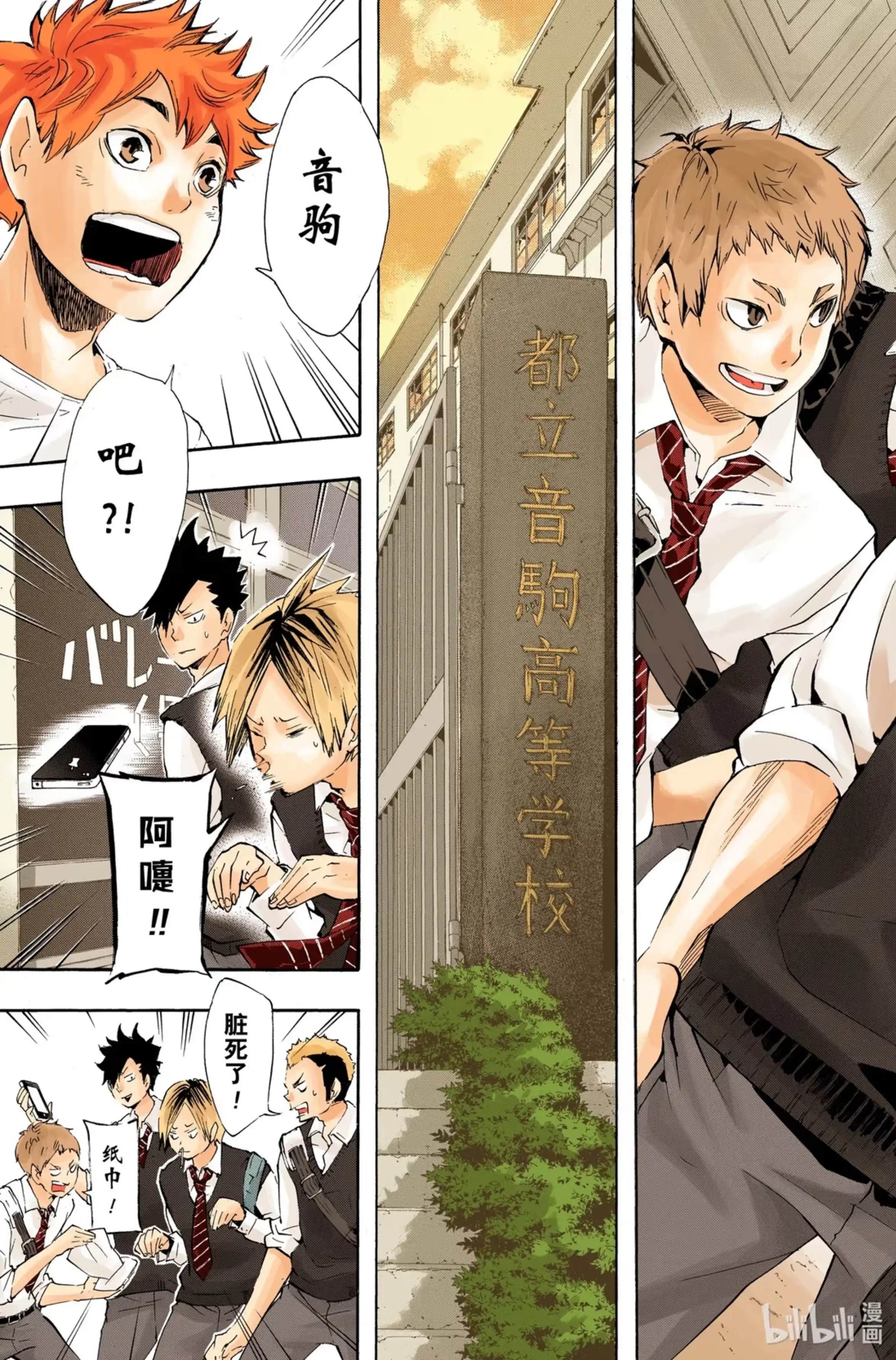第8页