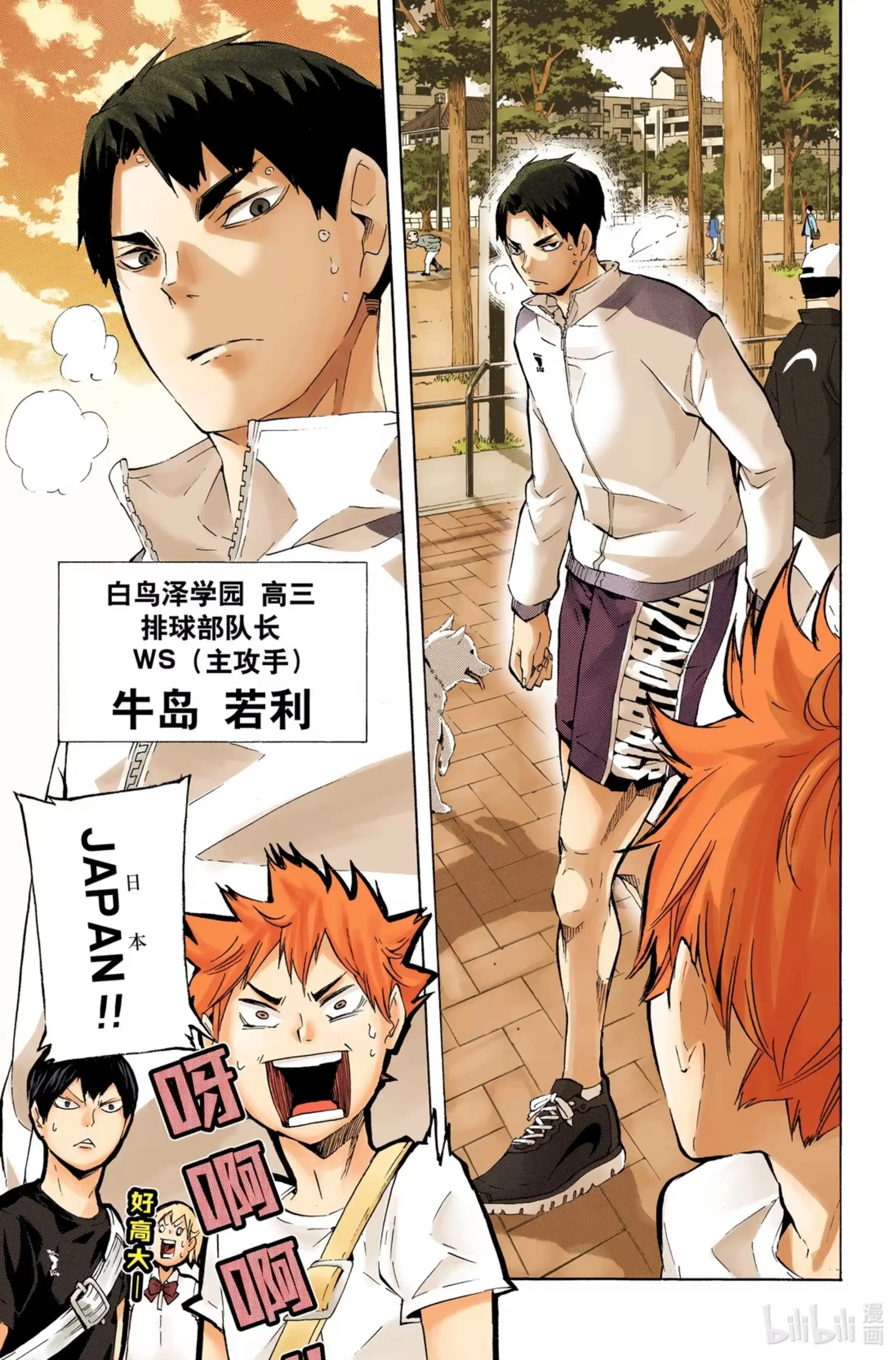 第19页