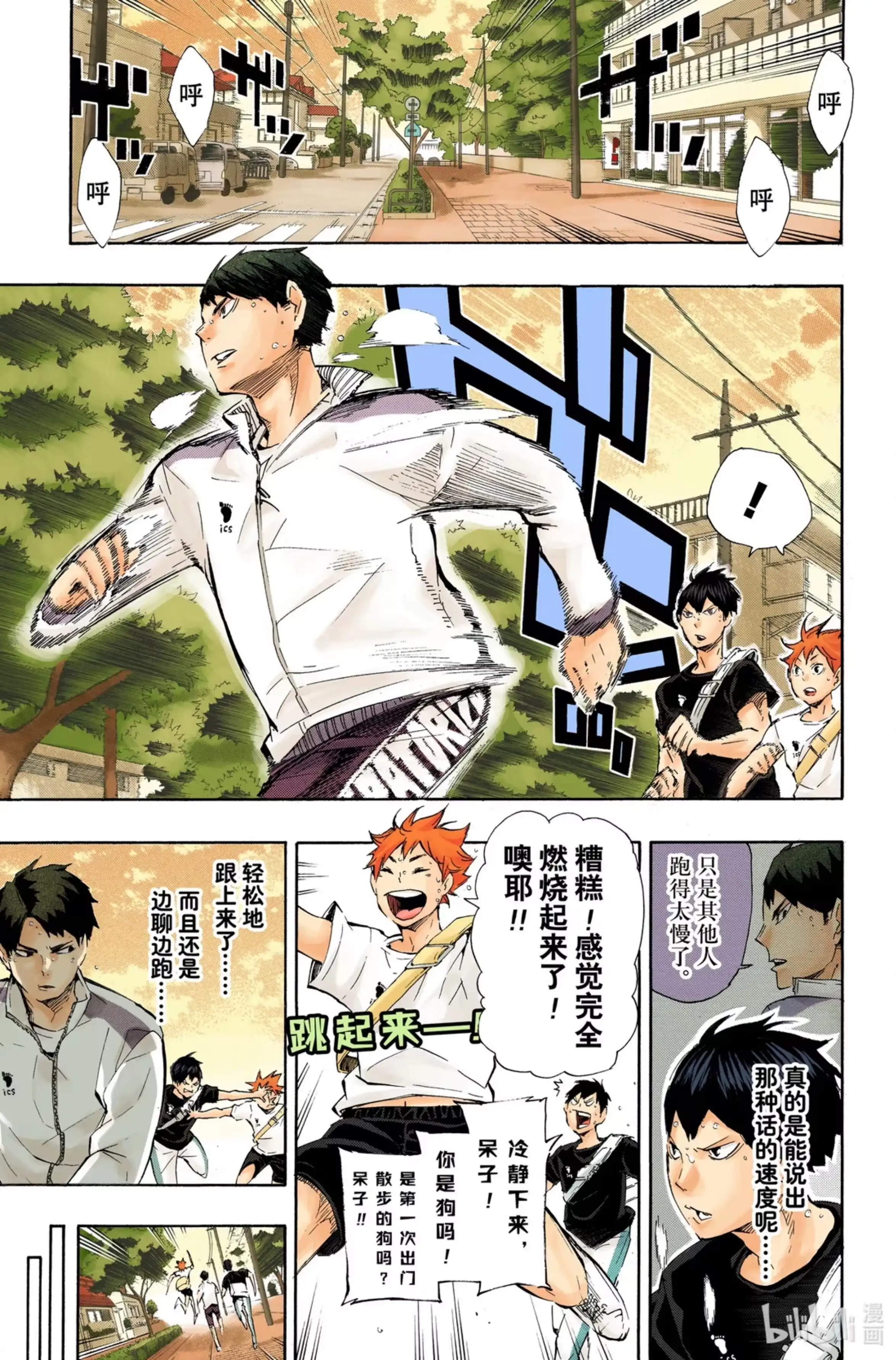第5页