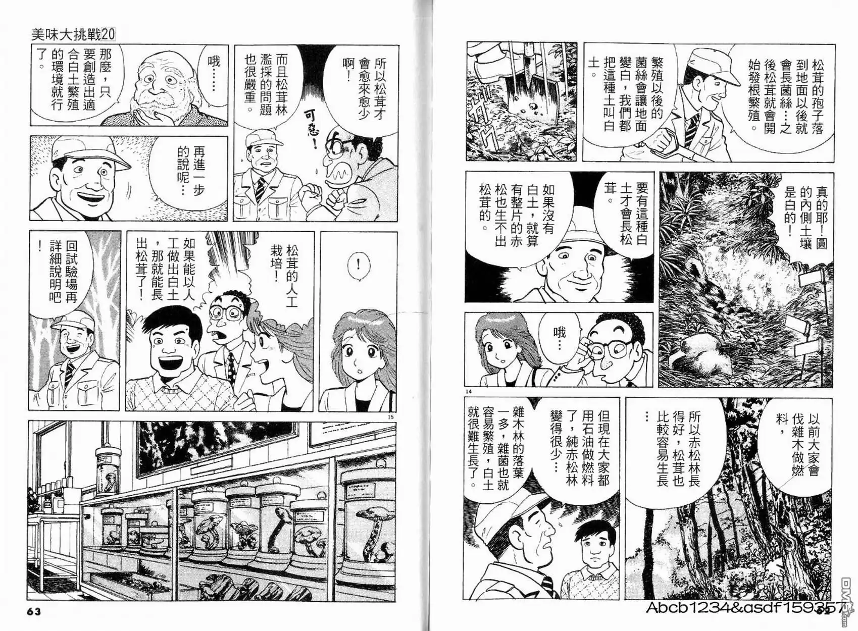第33页