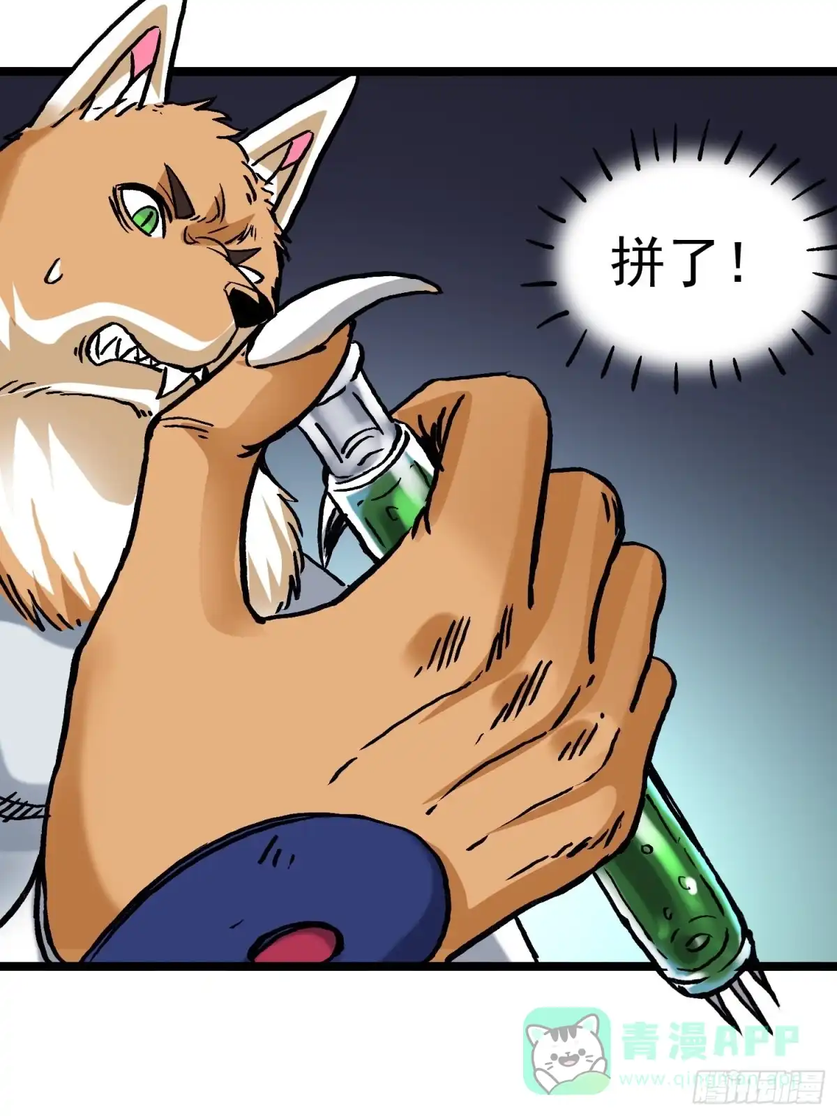 第51页