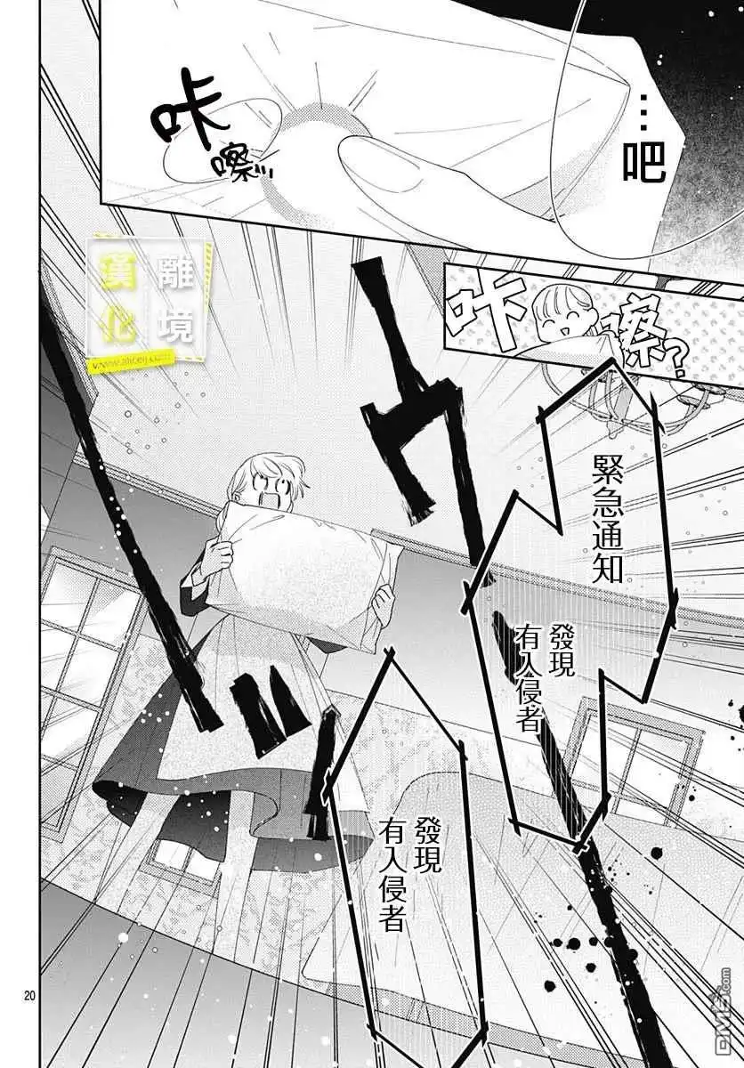 第20页