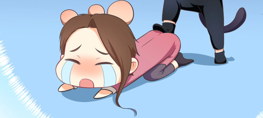 第50页