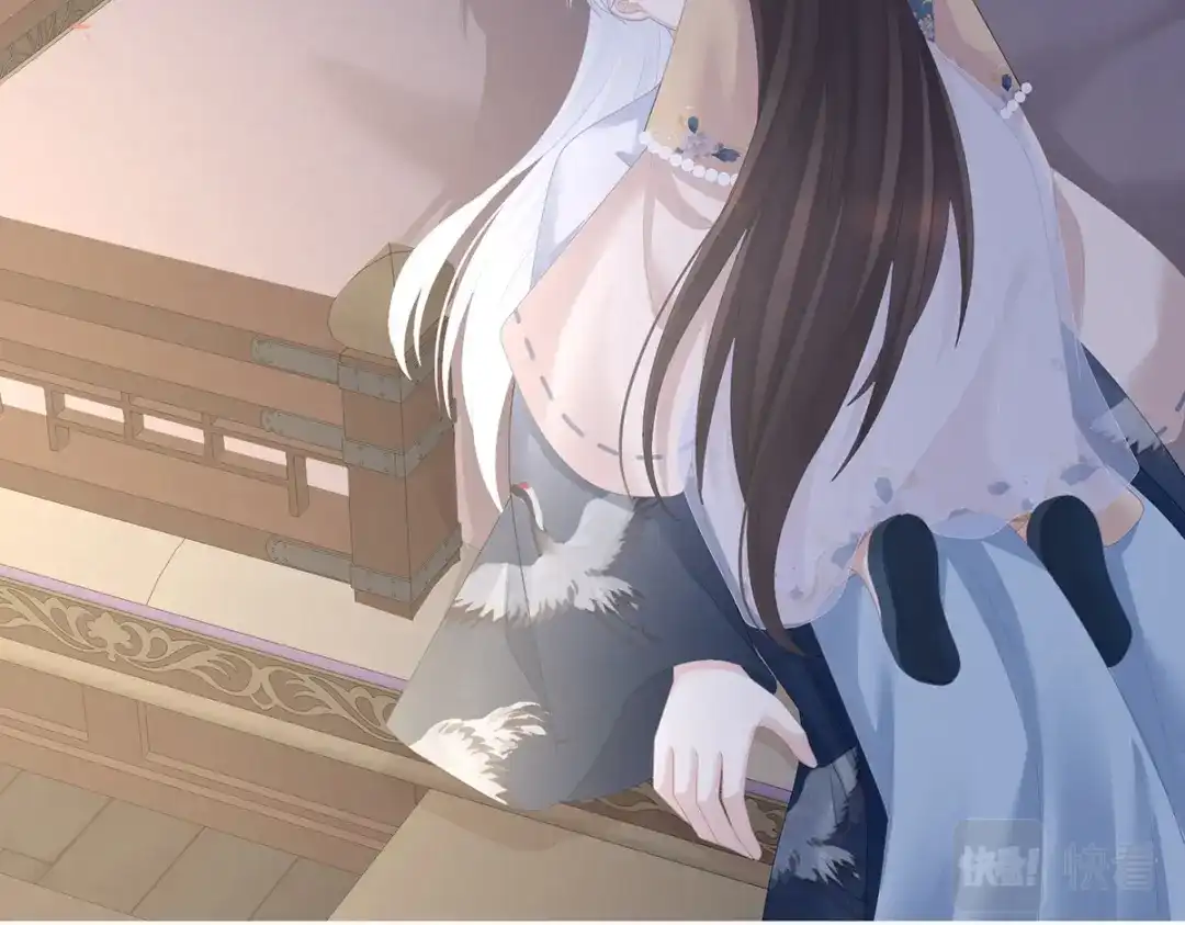 第117页