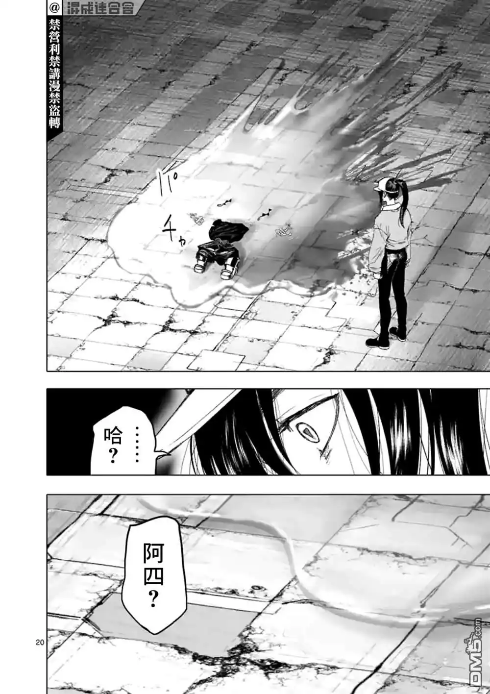 第20页