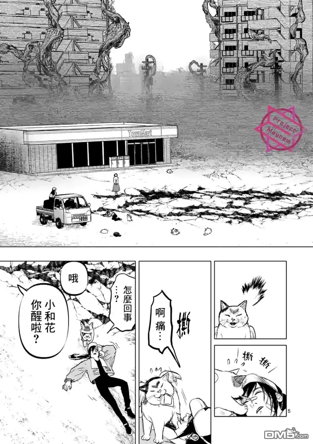 第5页
