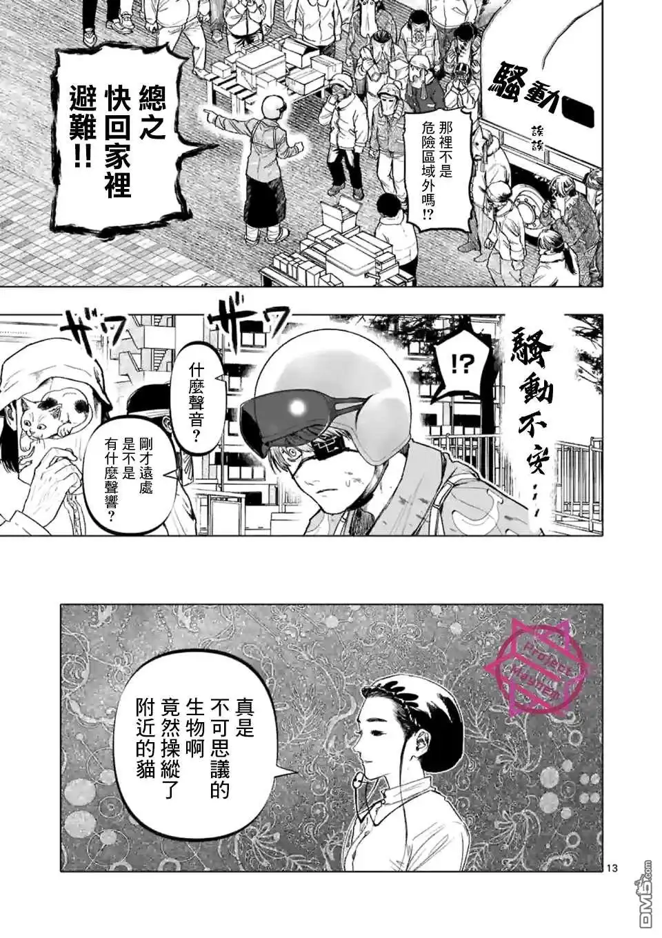 第13页