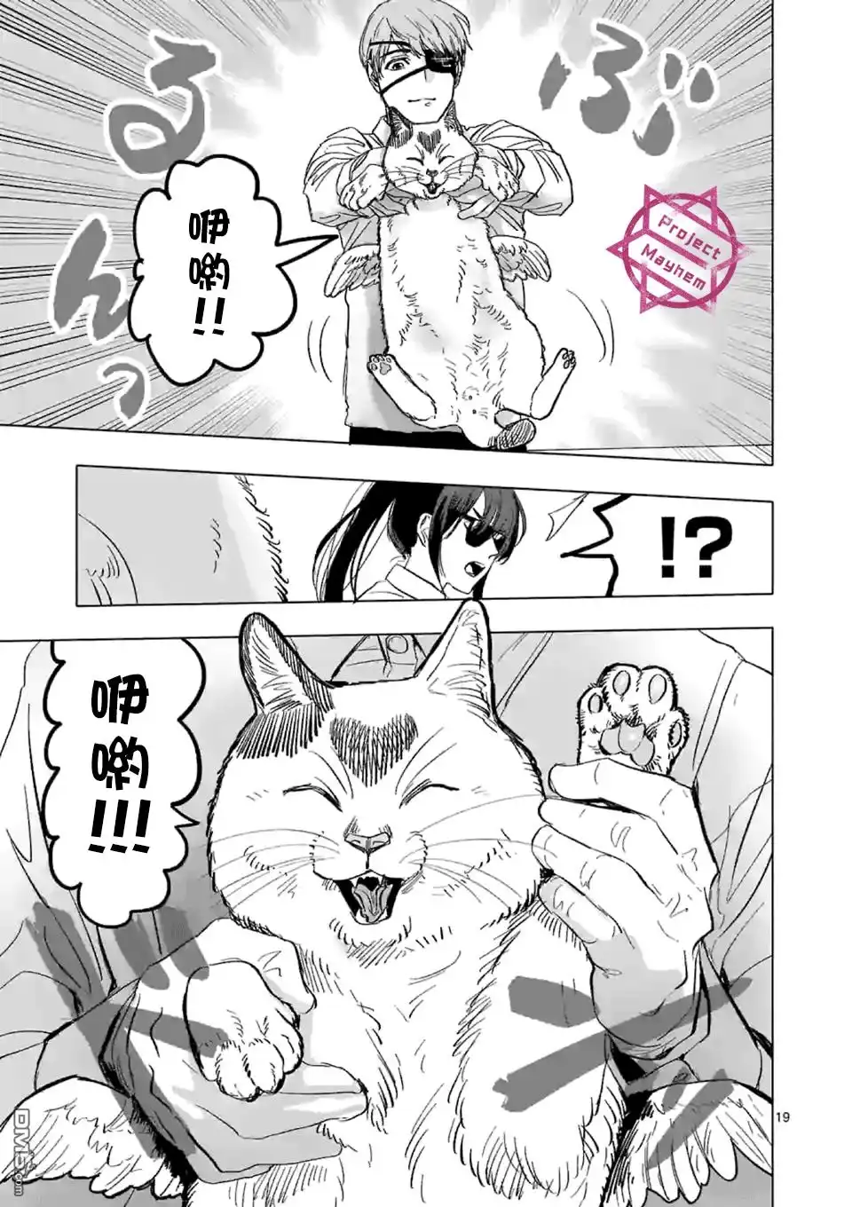 第19页