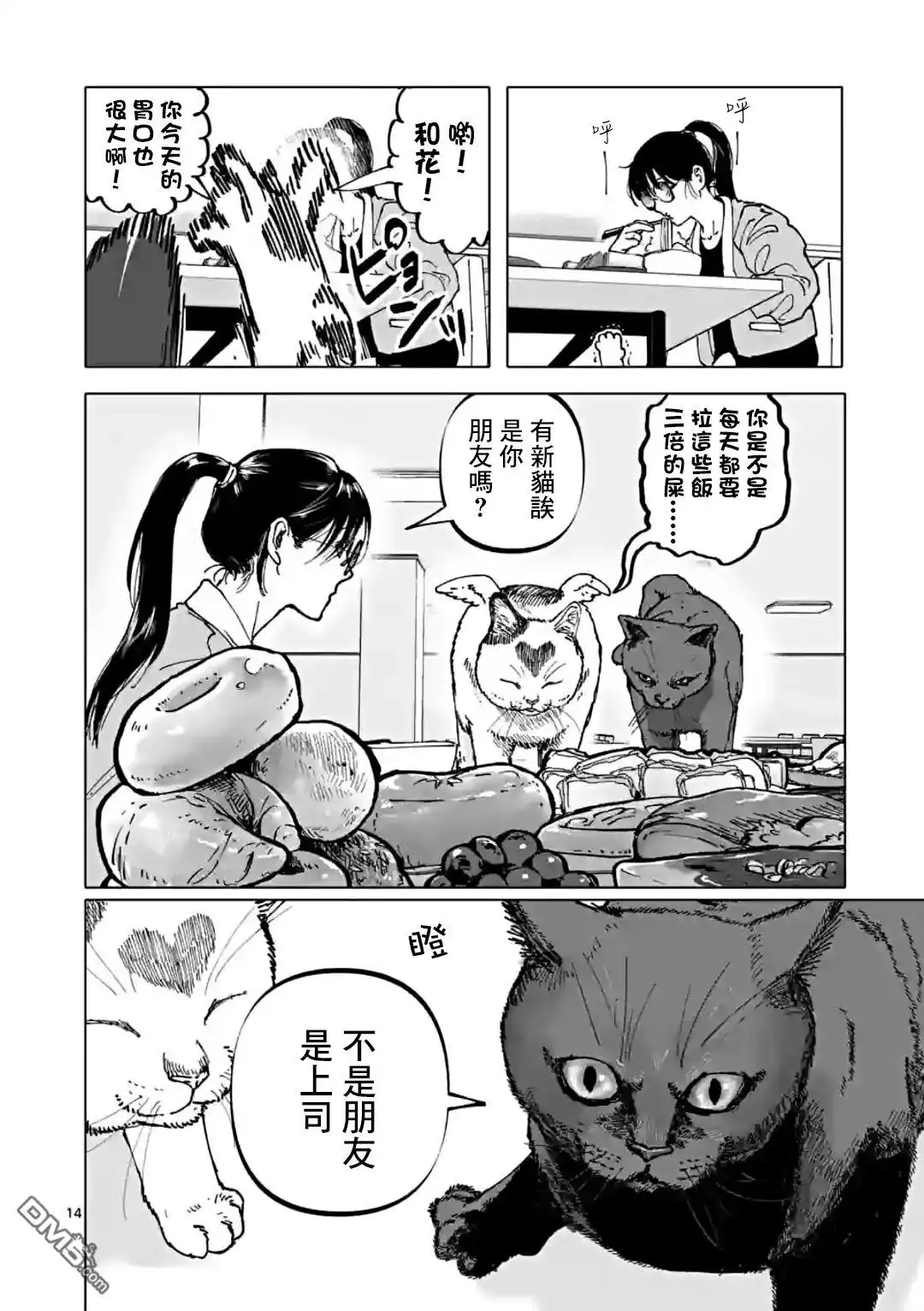 第14页