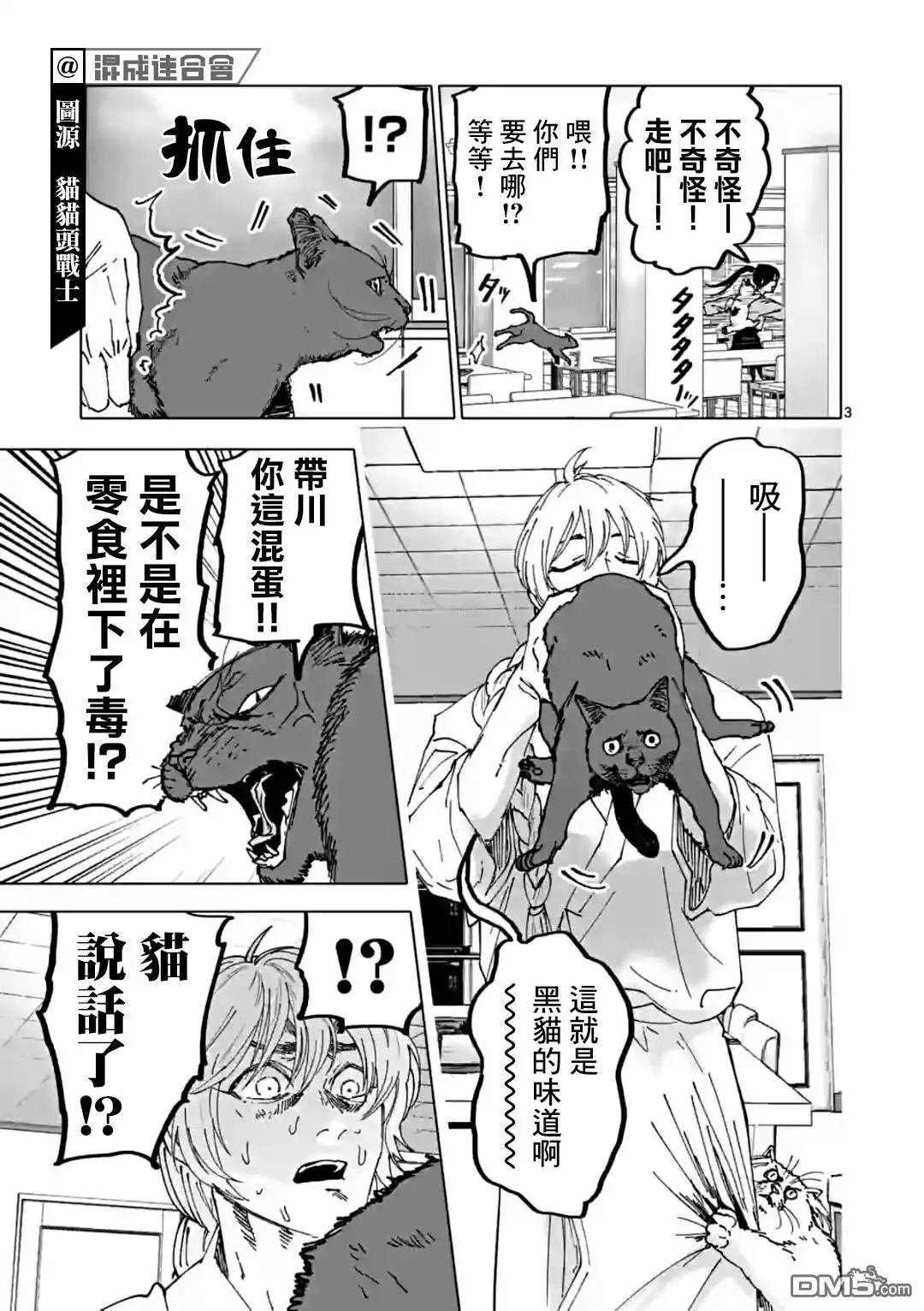 第3页