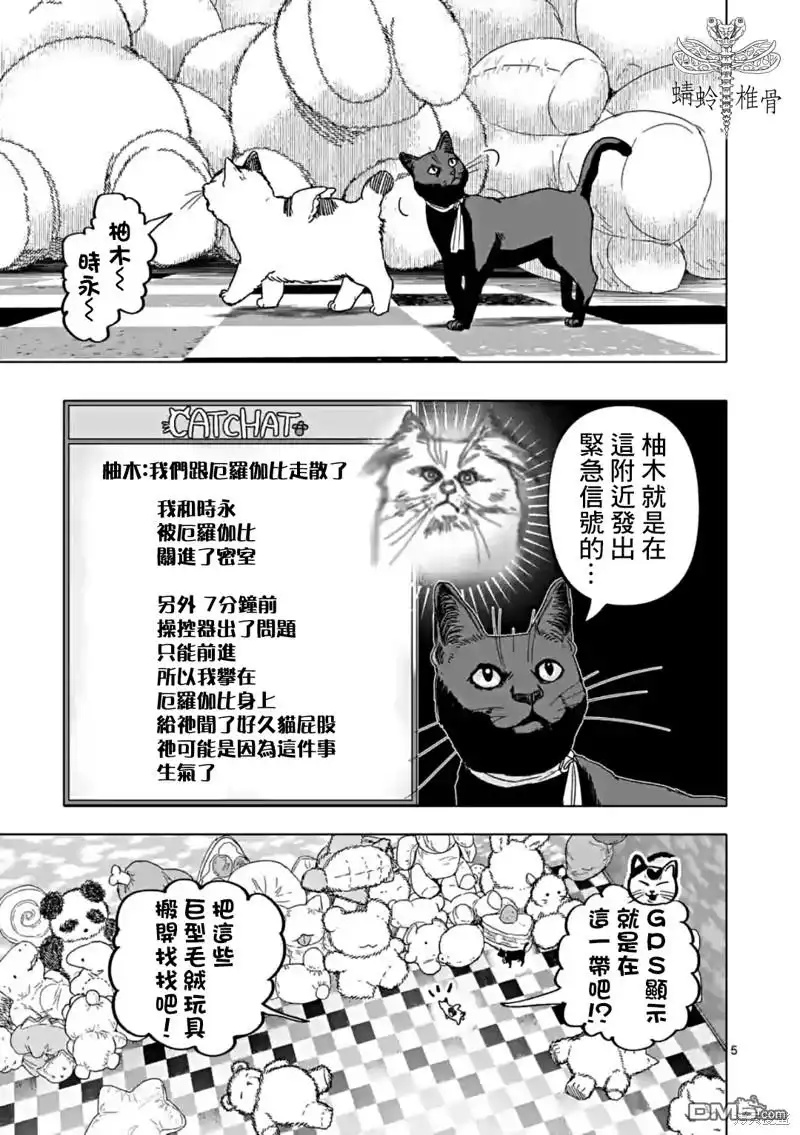 第5页